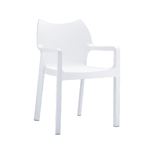 Ansen Arm Chair